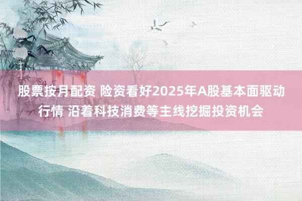 股票按月配资 险资看好2025年A股基本面驱动行情 沿着科技消费等主线挖掘投资机会