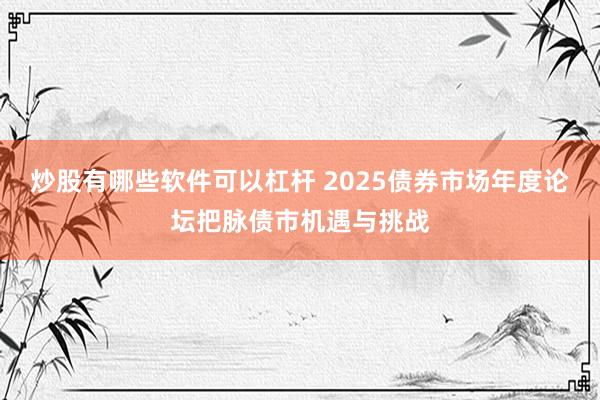 炒股有哪些软件可以杠杆 2025债券市场年度论坛把脉债市机遇与挑战