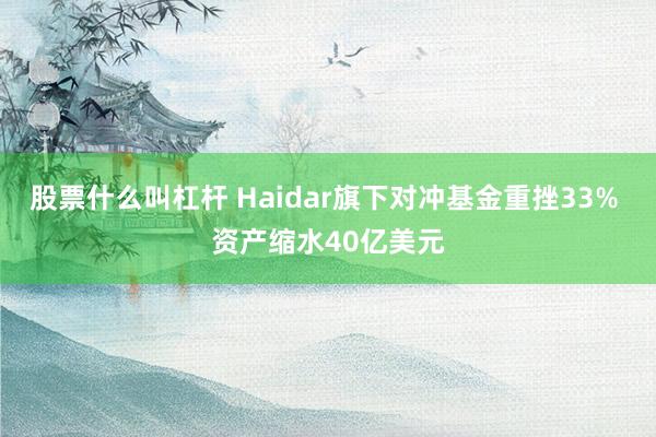 股票什么叫杠杆 Haidar旗下对冲基金重挫33% 资产缩水40亿美元