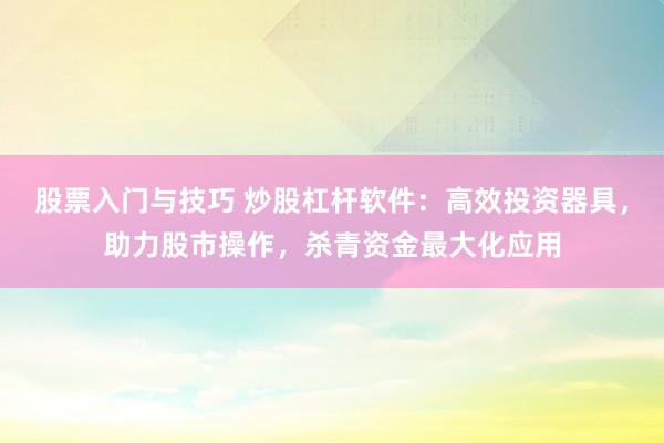 股票入门与技巧 炒股杠杆软件：高效投资器具，助力股市操作，杀青资金最大化应用